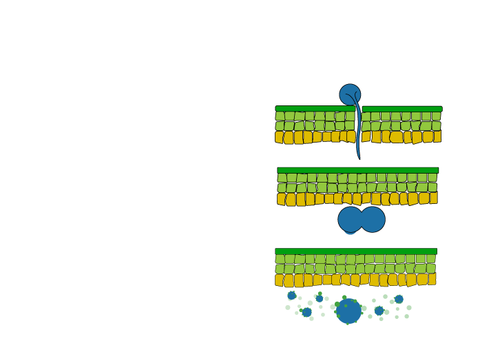 BIOPESTMAX-3