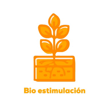 Bio estimulación