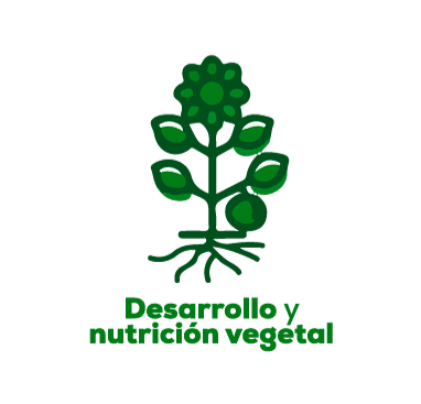 Desarrollo y nutrición vegetal