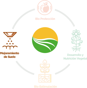 SISTEMA-DE-BIONUTRIPROTECCIÓN-mejorador-de-suelo