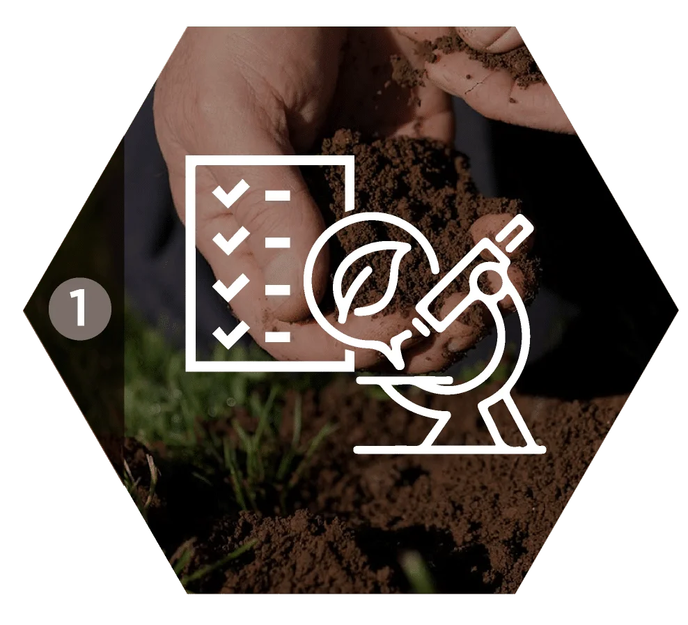 iconos reporte sistema doctor terra v3 17