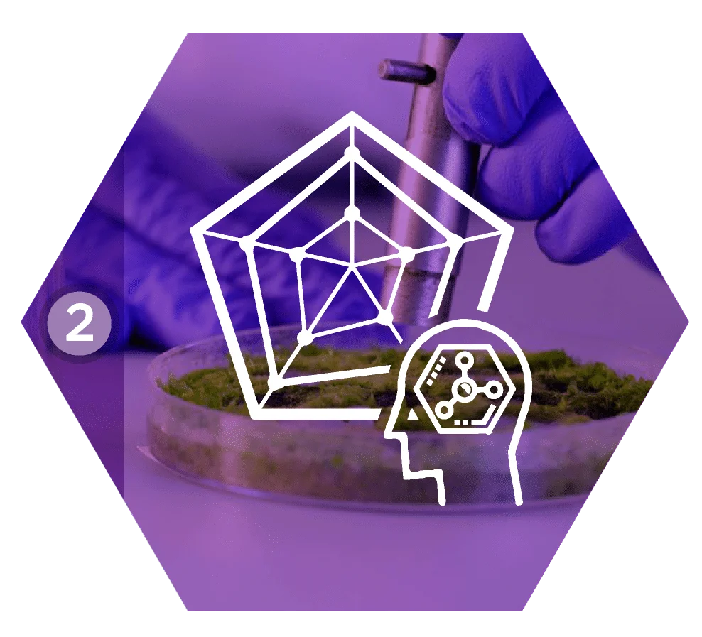 iconos reporte sistema doctor terra v3 34