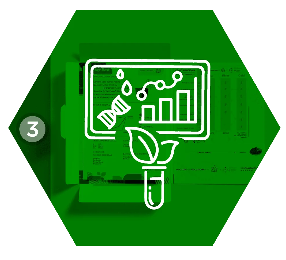 iconos reporte sistema doctor terra v3 52