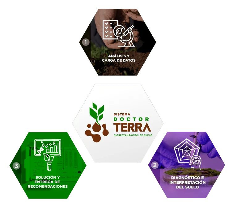 Sistema Doctor Terra Diagnóstico 2 imagenes brochure sistema doctor terra 22