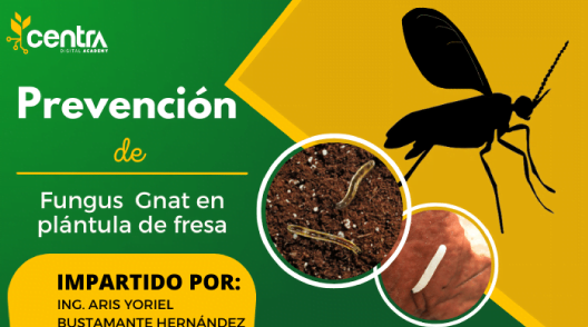 HOME AGRIBEST SUSTENTABLE 33