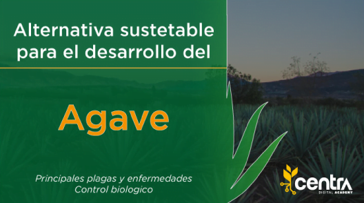 HOME AGRIBEST SUSTENTABLE 38