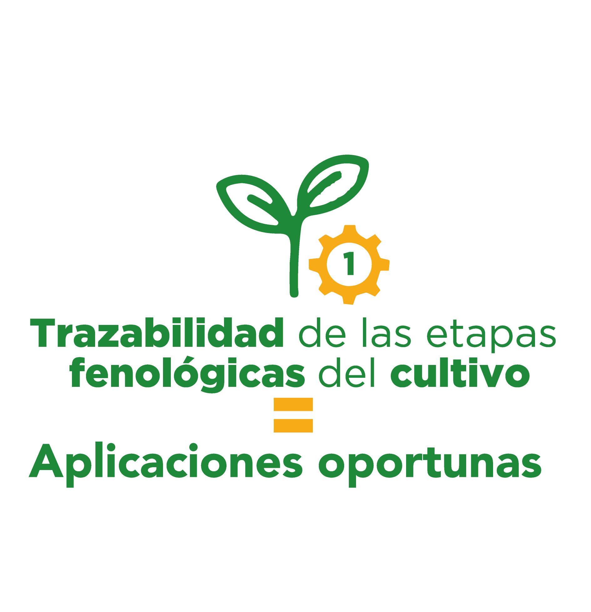 etapas fenologicas icrop app bigdata 03