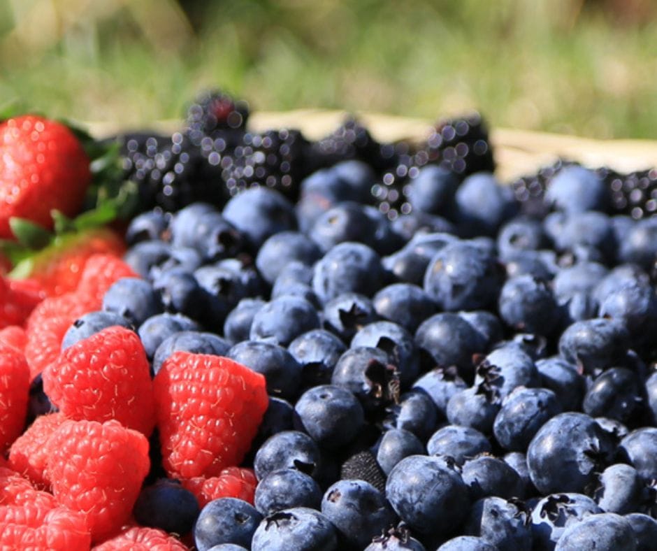 berries herbio